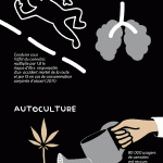 illustration-chiffres-cles-cannabis