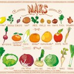 fruits et légumes mois de mars