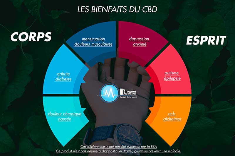 infographie sur les bienfaits du cbd