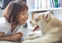 chien bon pour la santé