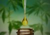 huile cbd