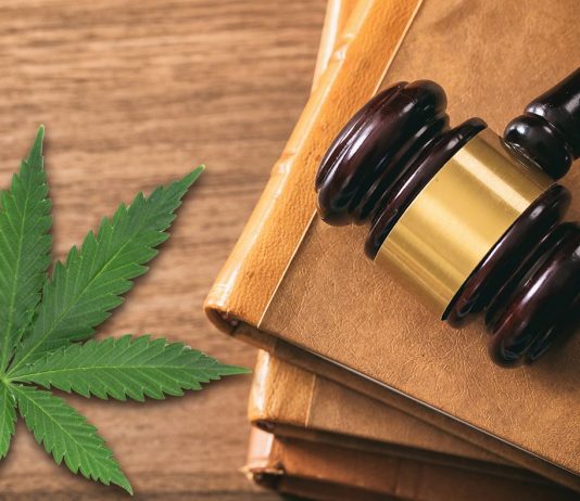 feuille de CBD avec marteau du juge