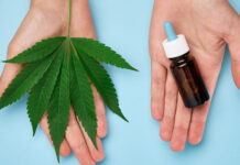 différences cbd et cannabis